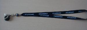 Lanyard wholesale, custom logo printed