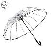 Environmental Umbrella